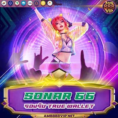 sonar 66